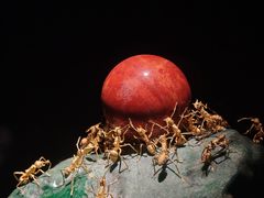 -深圳珠宝博物馆