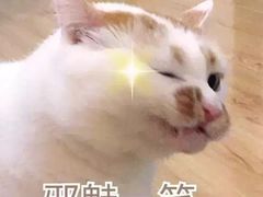 -50岚(太平洋森活天地店)
