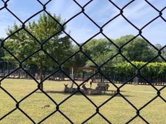 -北京麋鹿生态实验中心