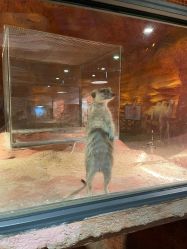 -酷嗒动物文化乐园(cutezoo西溪乐天城店)