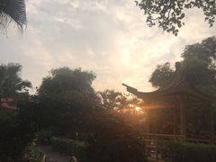 -大屏嶂森林公园
