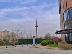 -中国宋庆龄青少年科技文化交流中心
