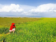 -青海湖国家重点风景名胜区