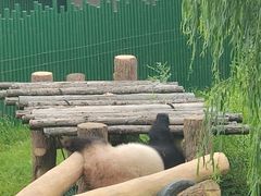-沈阳森林动物园