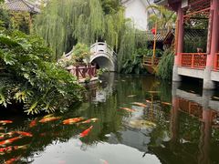 -香麒园·过桥米线·南湖雅宴