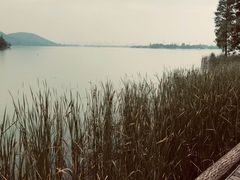 -东湖落雁景区
