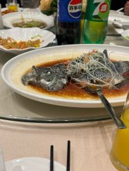 -上海雅居乐万豪侯爵酒店·宴会厅