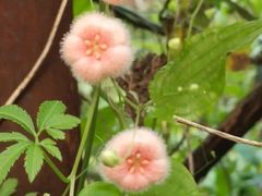 -苏州河梦清园环保主题公园