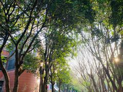 -厦门大学(思明校区)