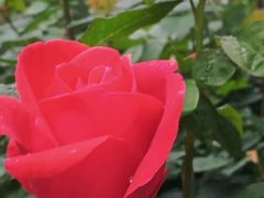 -人民公园(罗湖区)