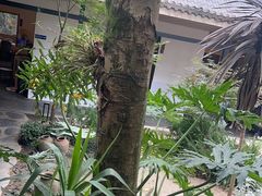 -往来·竹里.宝宝宴.生日宴.团建.宴席(花乡农居店)