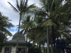 -芽庄珍珠岛游乐园