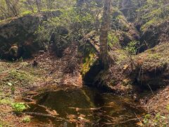 -白草畔自然风景区