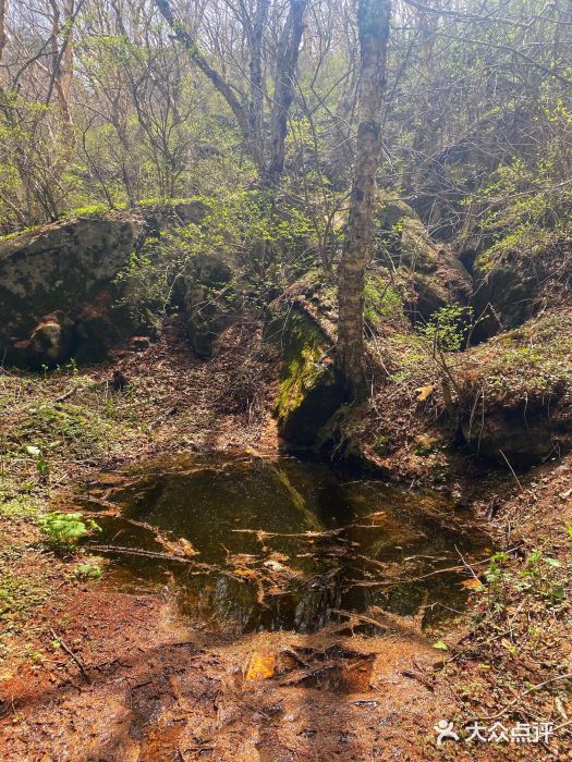 白草畔自然风景区图片