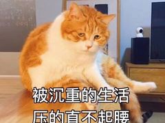 -泰合玺·精油疗愈SPA(南京光环花园城店)