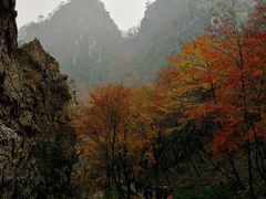 -大连天门山国家森林公园