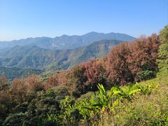 -广州市石门国家森林公园