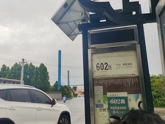 -秦始皇帝陵博物院-丽山园
