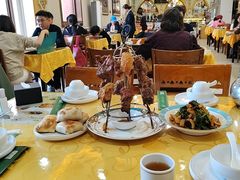 -新疆巴州金丝特餐厅(大钟寺店)