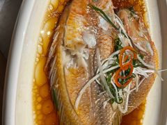 -华盛丰温州大排档(东三环南路店)