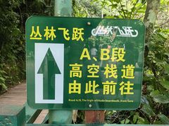 -西双版纳原始森林公园