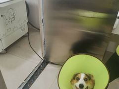 -佳雯宠物医院·皮肤科·内外科(春晓路分院)