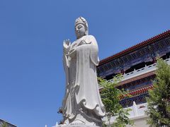 -天津大悲禅院