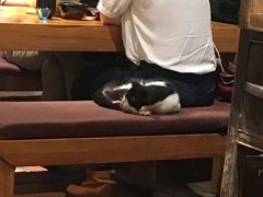 -天水蔬食料理(树德之光店)