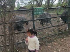 -金孔雀温泉旅游度假村