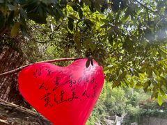 -将军关探险漂流