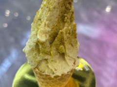 -野人先生现做冰淇淋(西安赛格店)