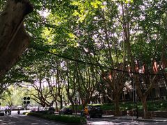 -浙江大学(玉泉校区)