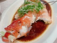 -金汇酒楼(中山东区店)