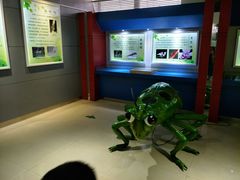 -上海昆虫博物馆