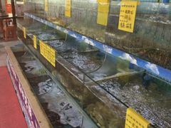 -坛南湾阿强农家乐.海鲜大排档老字号(福州地标美食店)