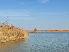 -盐城丹顶鹤湿地生态旅游区