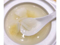 养生鱼胶汤-潮府馆·非遗潮州菜·世纪公园(新国际博览中心店)