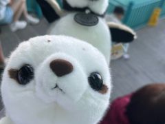 -大连圣亚海洋世界