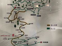 -天目山大树王景区