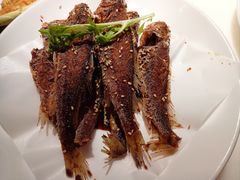 -佬肥猫(国华广场店)
