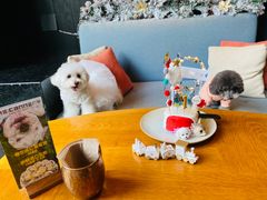 -THE CANNERY&JUJU 新鲜海鲜·牛排美食酒廊