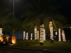 -野狸岛