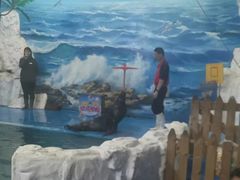 -左海海底世界