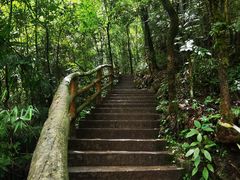 -鹿院坪生态旅游景区