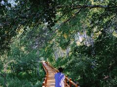 -塞罕坝国家级自然保护区