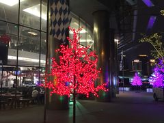 -PAULANER普拉那德国啤酒花园(千玺广场店)
