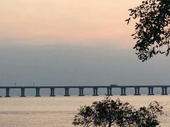 -宝安西湾红树林湿地公园