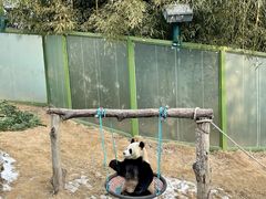 -栾川竹海野生动物园