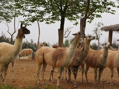 -杭州野生动物世界