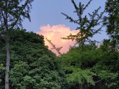 -中国浦东干部学院